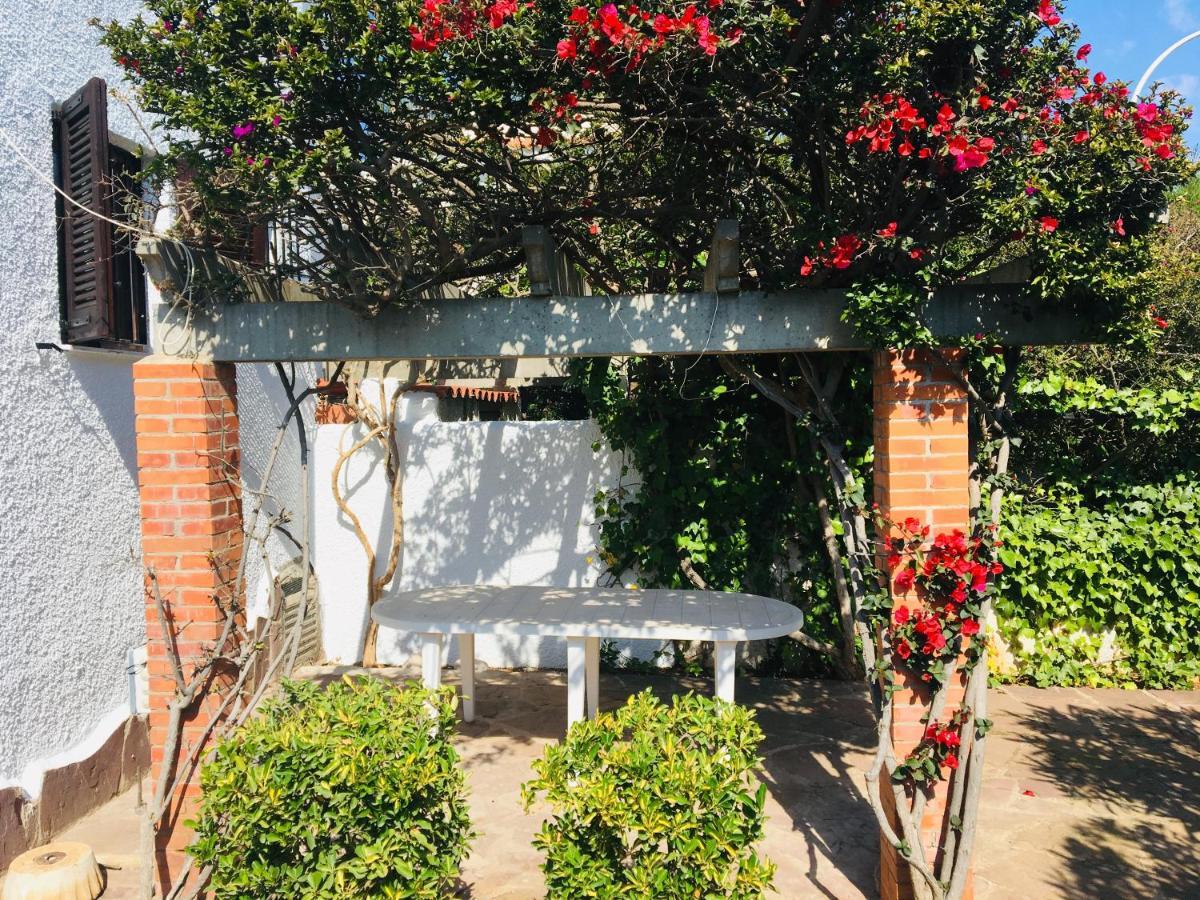 Apartamentos Tres Playas Altamar Alcoceber Екстер'єр фото